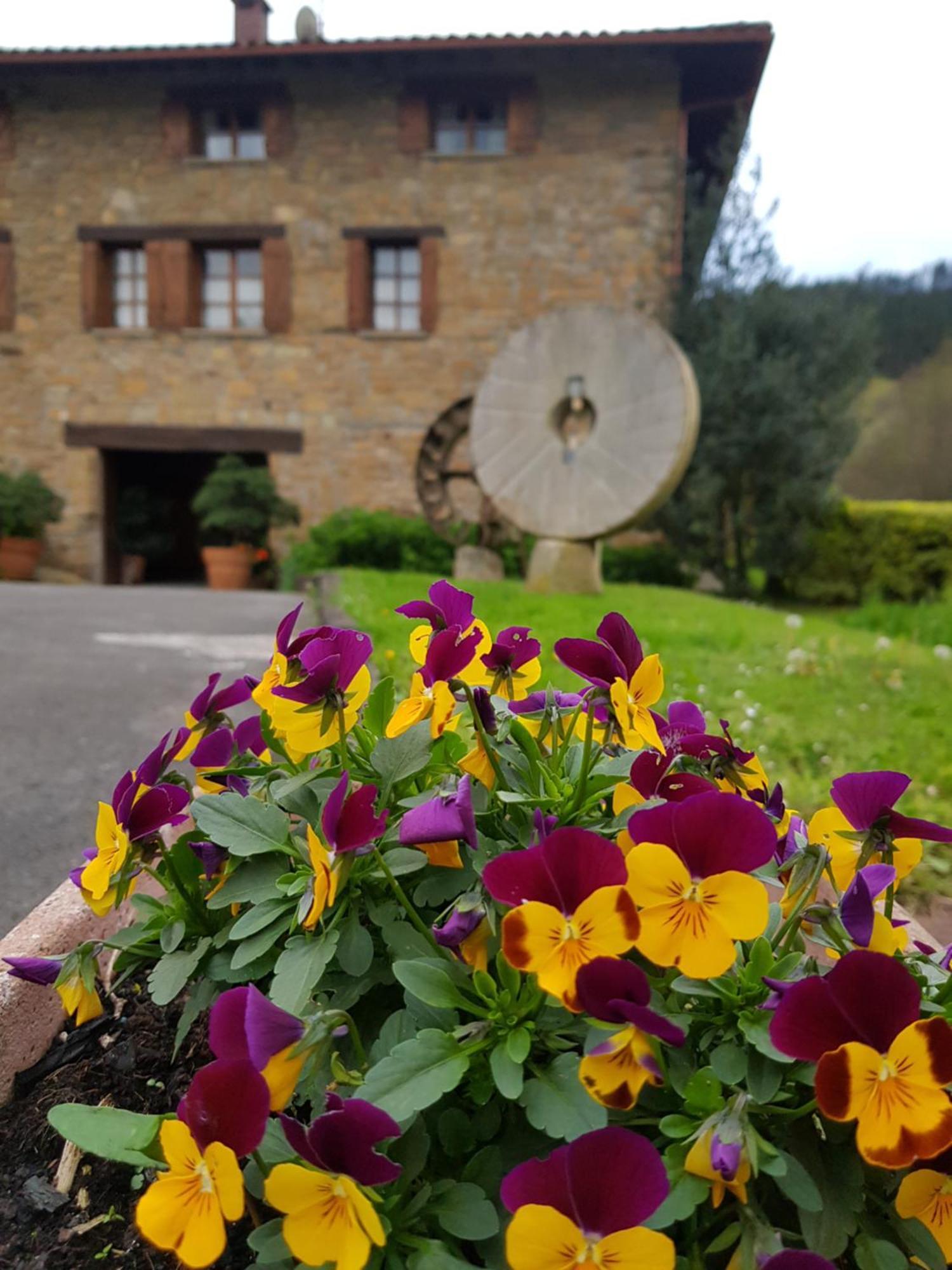 Agroturismo Iberreko Errota Muxika Exteriör bild